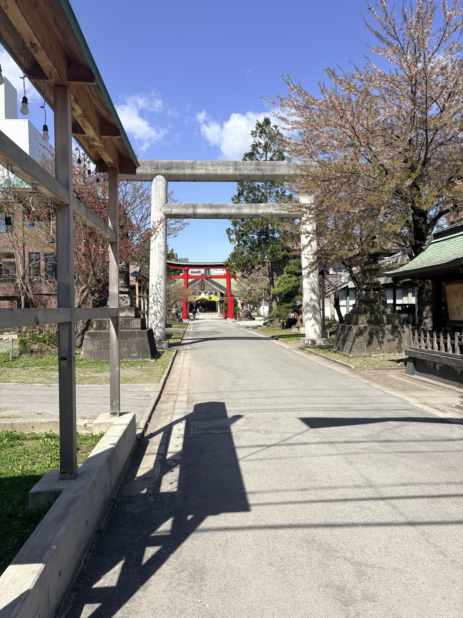 歩くは最強のスポーツ